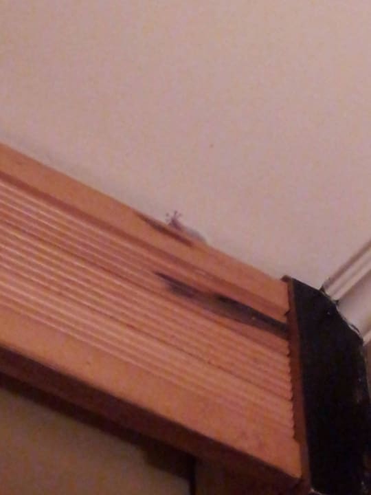 Prima Life Makadi Prima Life Makadi Resort