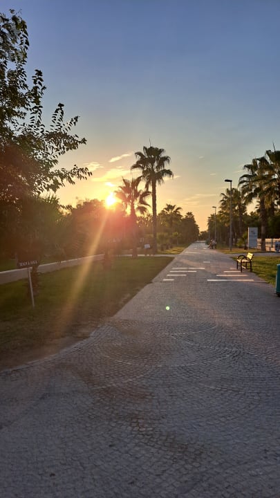 Gartenanlage Hotel Orfeus Park
