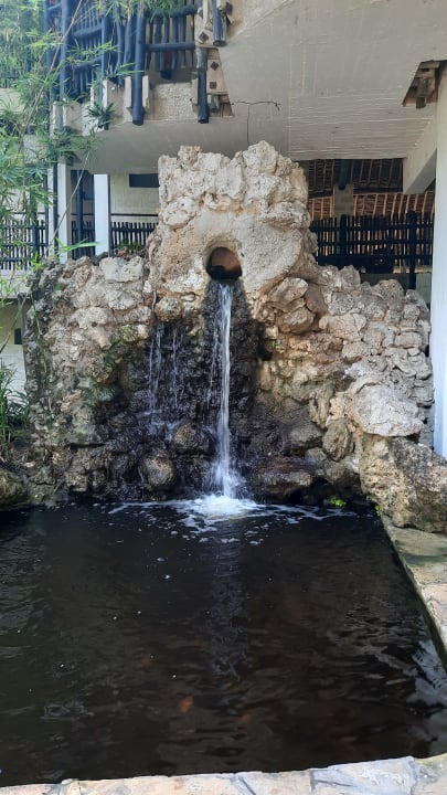 Gartenanlage Baobab Beach Resort & Spa