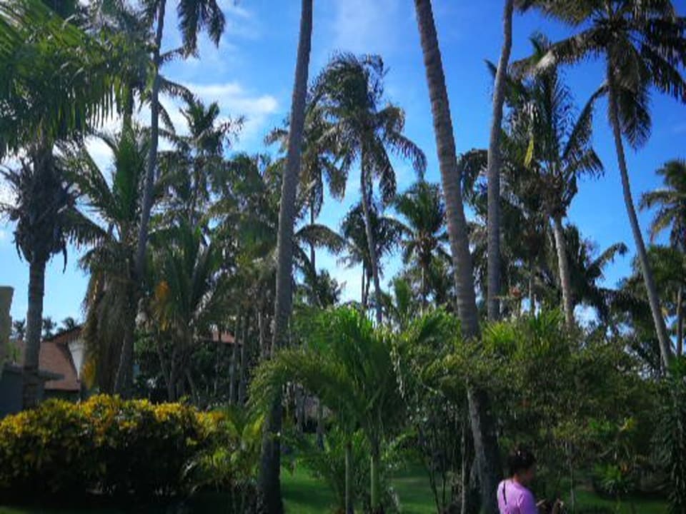 Gartenanlage Grand Palladium Punta Cana Resort & Spa