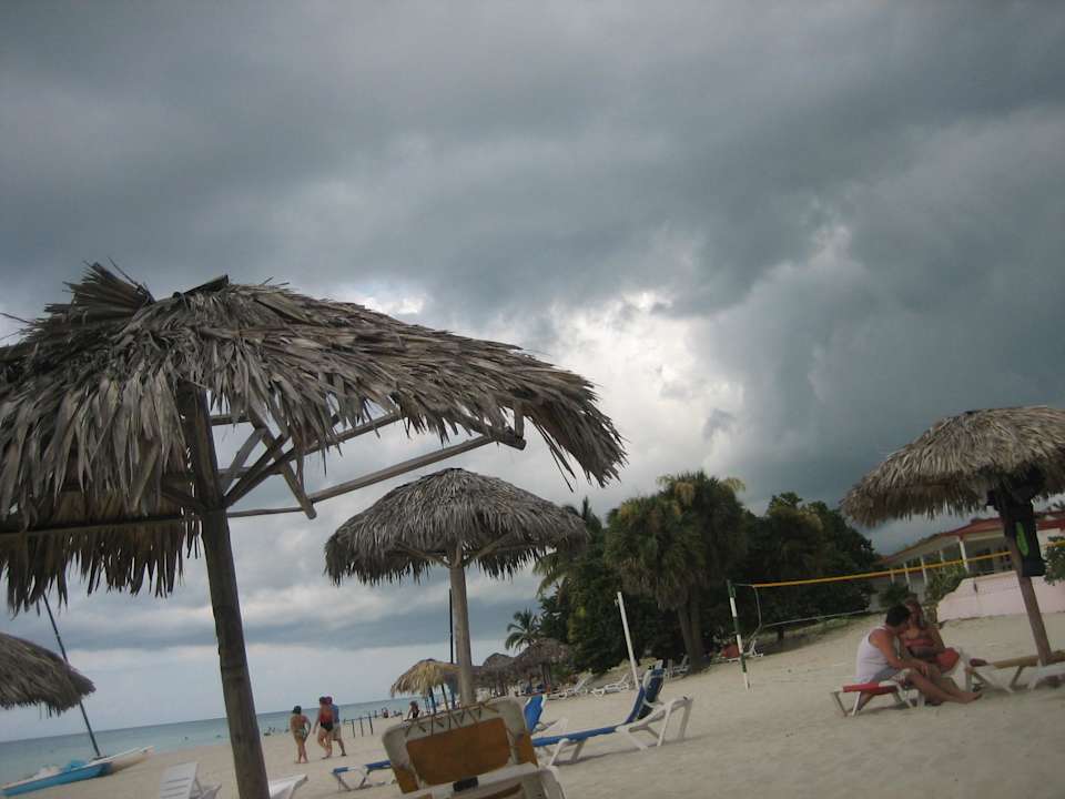 Das sieht böse aus! Starfish Cuatro Palmas