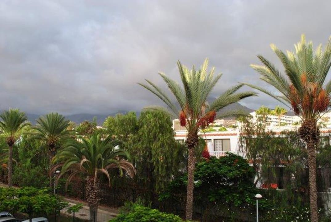 Ausblick des einen Balkons Dreams Jardín Tropical