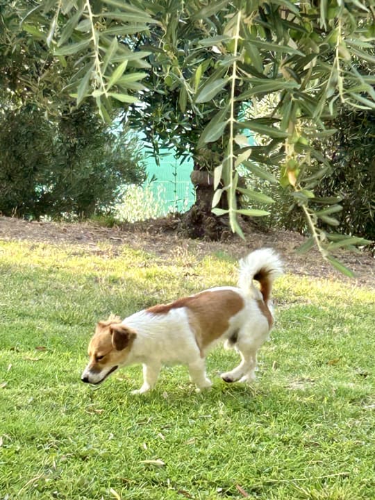 Sonstiges Akrathos Beach Hotel