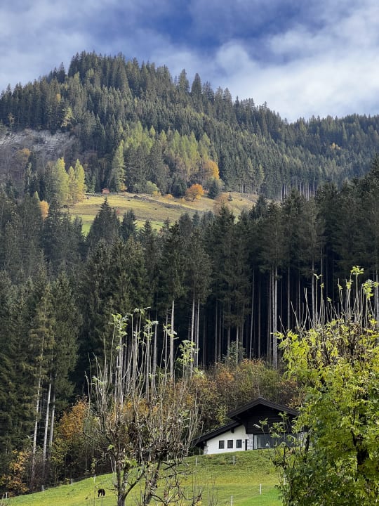 Ausblick Kinderhotel Waldhof