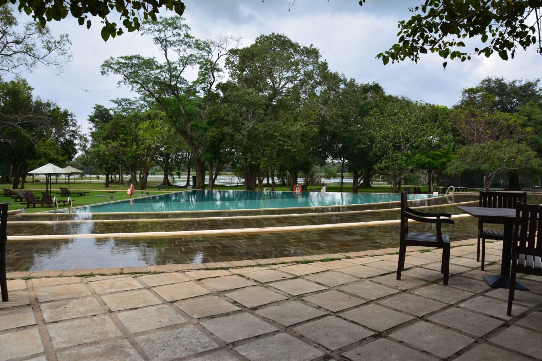Pool Habarana Village by Cinnamon