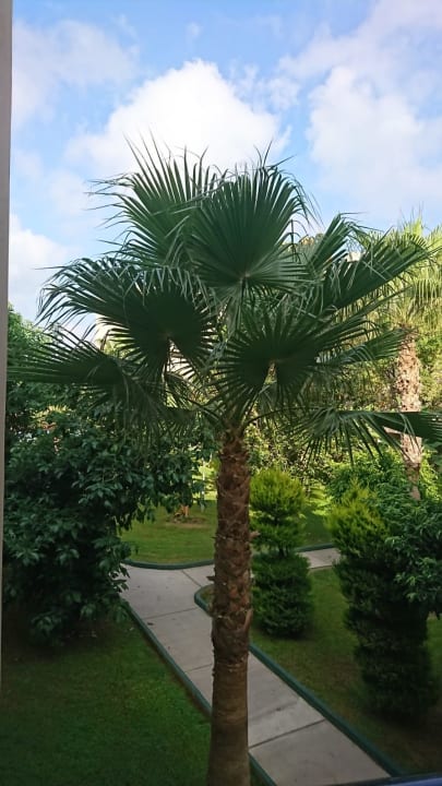 Gartenanlage Labranda Alantur Resort