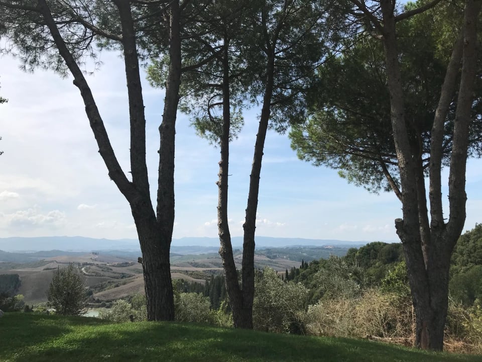 Ausblick Castelfalfi