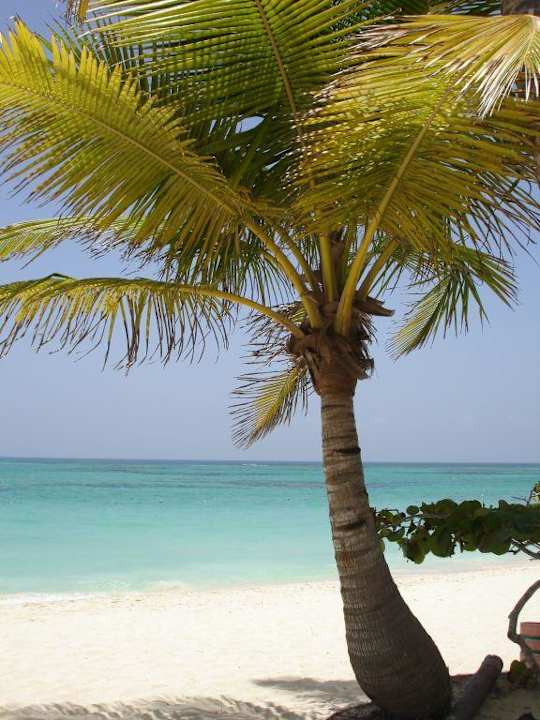 Palmen Grand Palladium Select Bávaro Resort & Spa