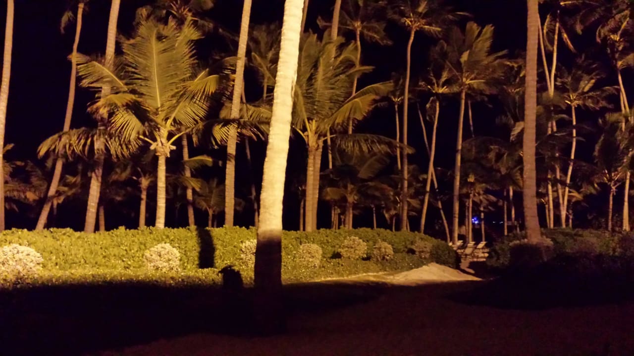 Blick von der Restaurantterrasse Secrets Royal Beach Punta Cana - Adults only