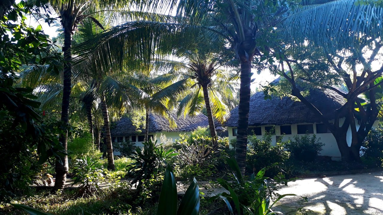 Gartenanlage Spice Island Hotel & Resort