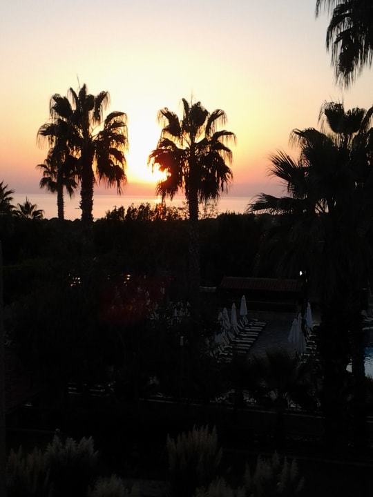 Ausblick Alba Resort Hotel