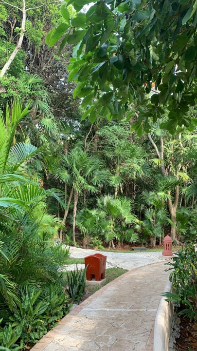 Gartenanlage Iberostar Waves Tucan