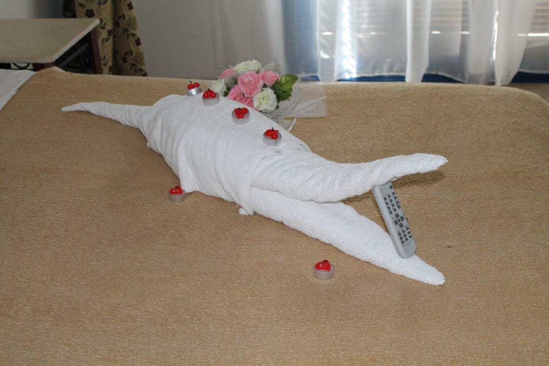 Очередной сюририз Panorama Bungalows Resort El Gouna