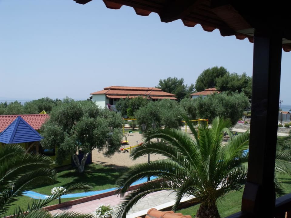 Blick zum Spielplatz hinter den Palmen Blue Dolphin Resort Hotel