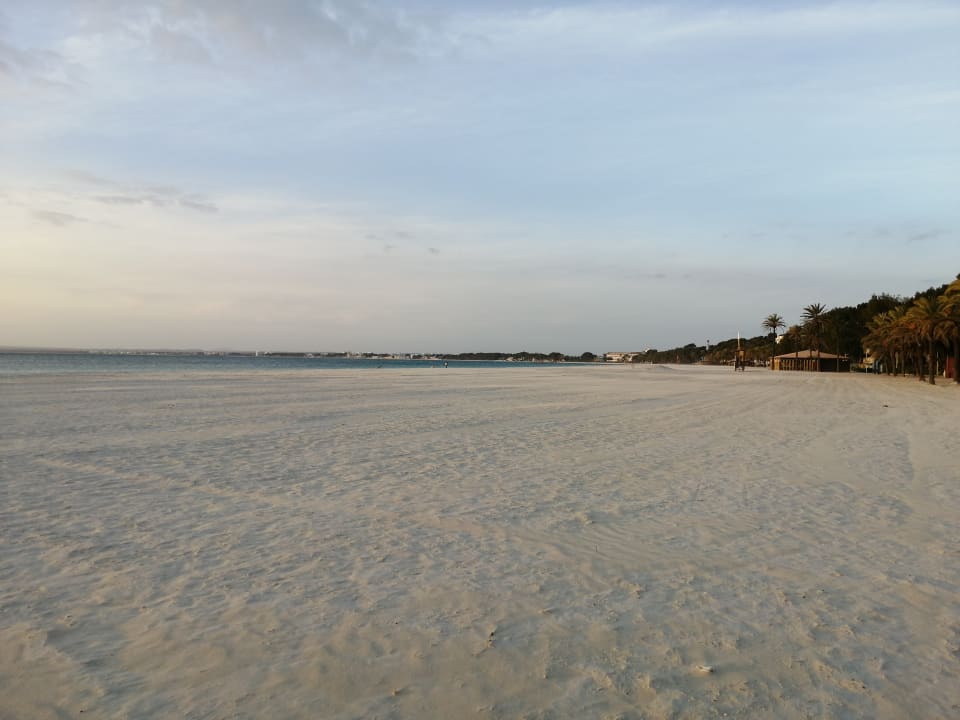 Strand Alcudia Garden Aparthotel