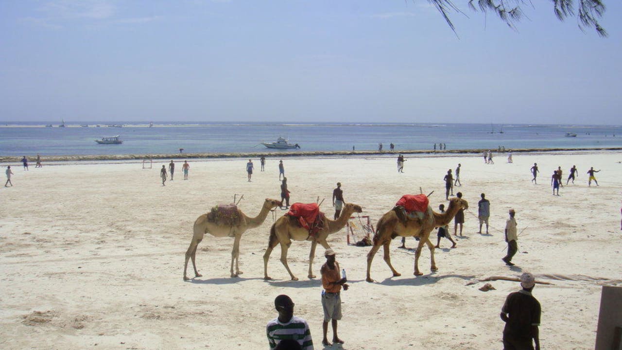Так выглядит пляж около 12 часов дня Hotel Papillon Lagoon Reef