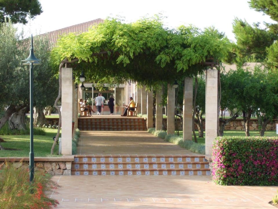 Außenbereich zur Rezeption Zafiro Mallorca