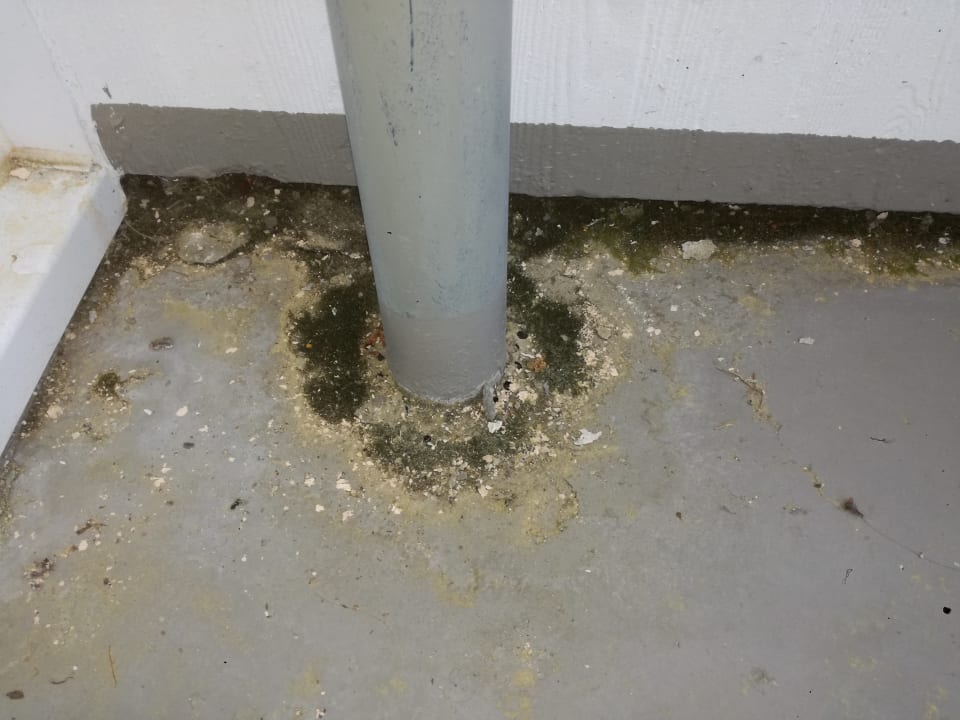 Zimmer Panoramic - Ihr Apartmenthotel im Harz