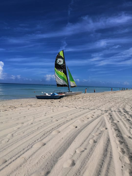 Strand Starfish Cuatro Palmas
