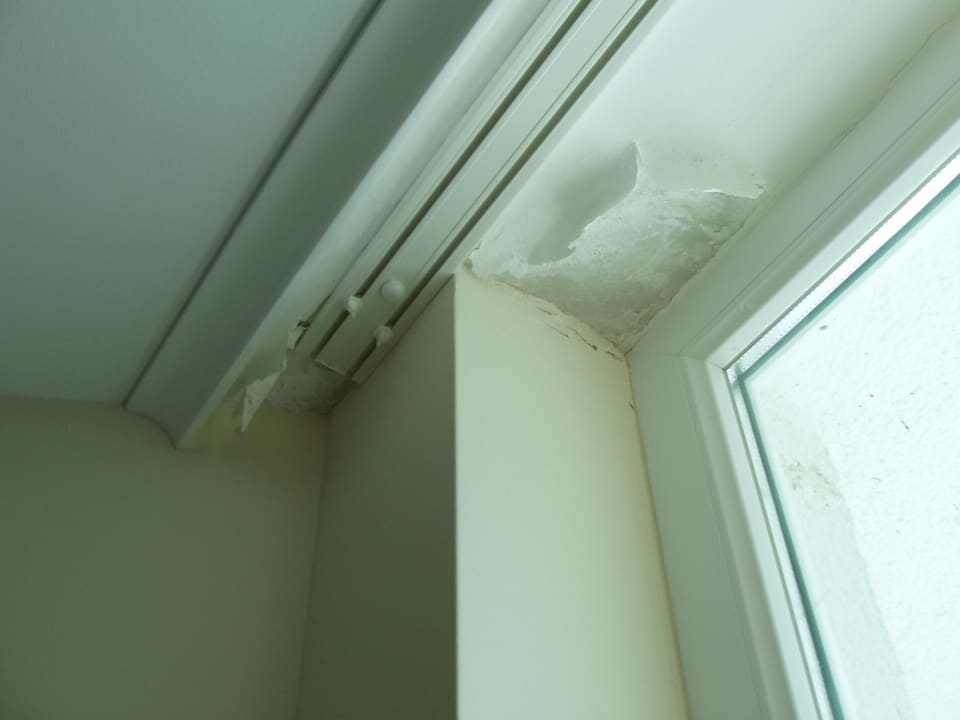 Grzyb na suficie Hotel Glarus