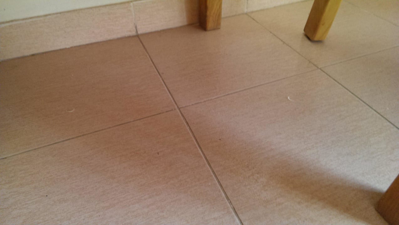 Fußboden Sea Star Beau Rivage