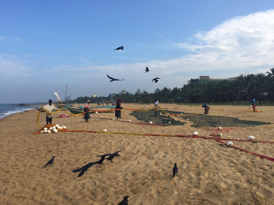 Strand Goldi Sands Hotel