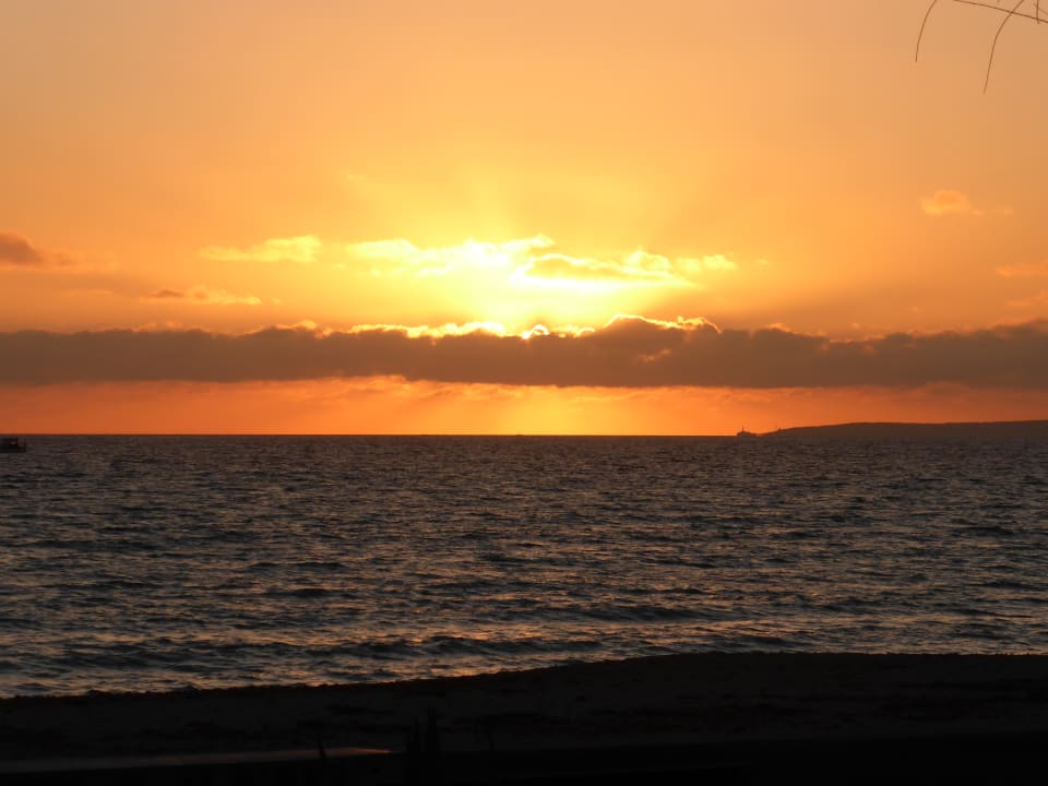 Strand Aparthotel Fontanellas Playa