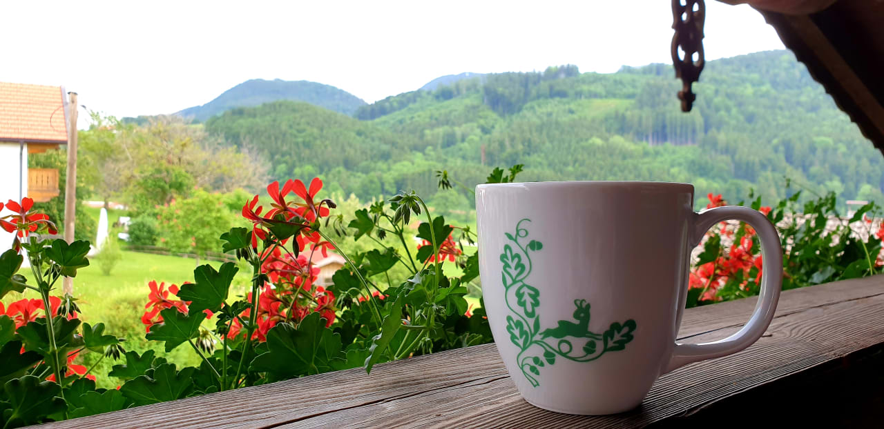 Ausblick Kailhof Thaurer Josef und Kathrin