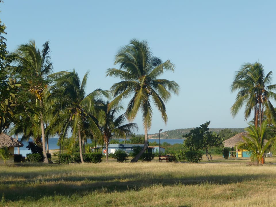 Ausblick vom Zimmer  Hotel Club Amigo Rancho Luna