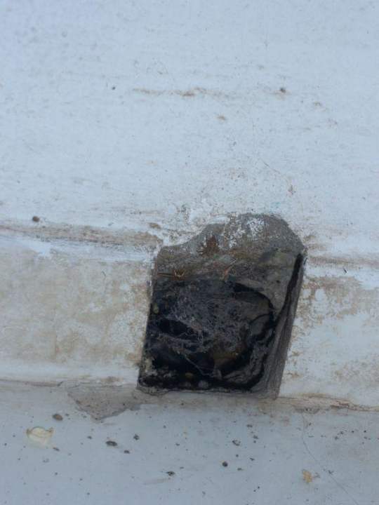 Loch im Balkon mit lustigen Tierchen drin Hotel Faliraki Bay