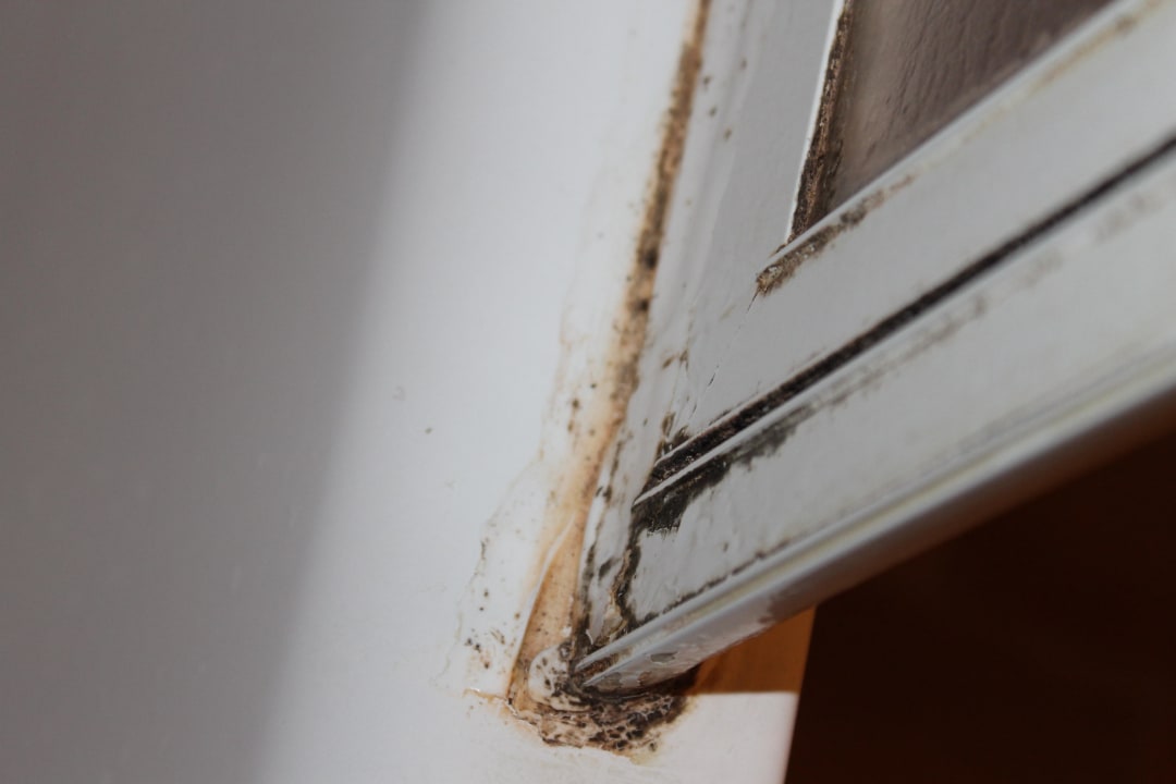 Dusche Hotel Du Parc