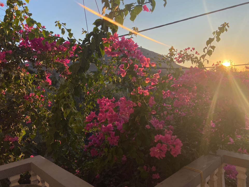 Ausblick Cozy Archangelos apartments with private parking