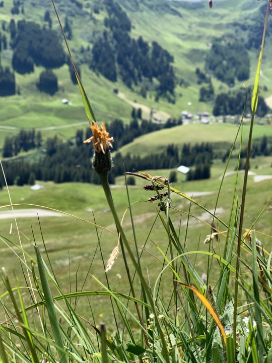Ausblick Hotel Steinmattli