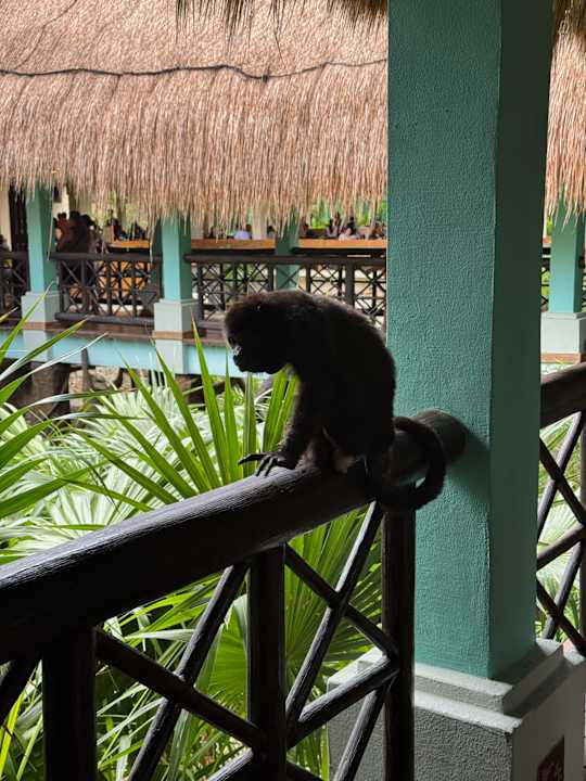 Außenansicht Iberostar Waves Tucan