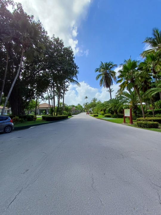 Sonstiges Hotel Grand Palladium Palace Resort, Spa & Casino