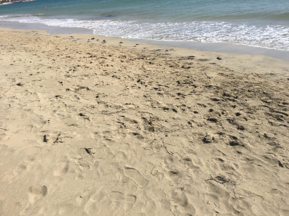 Strand Iberostar Waves Gaviotas Park