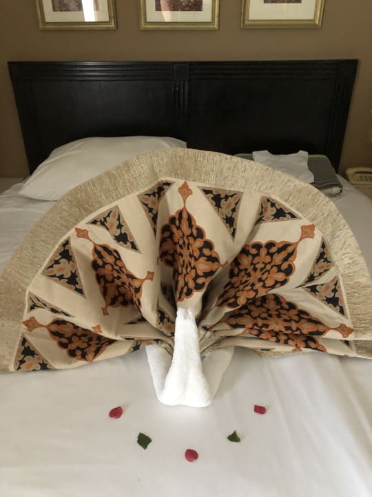 Zimmer Steigenberger Coraya Beach - Adults only