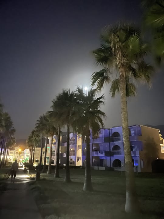 Gartenanlage Delfina Tropic Beach