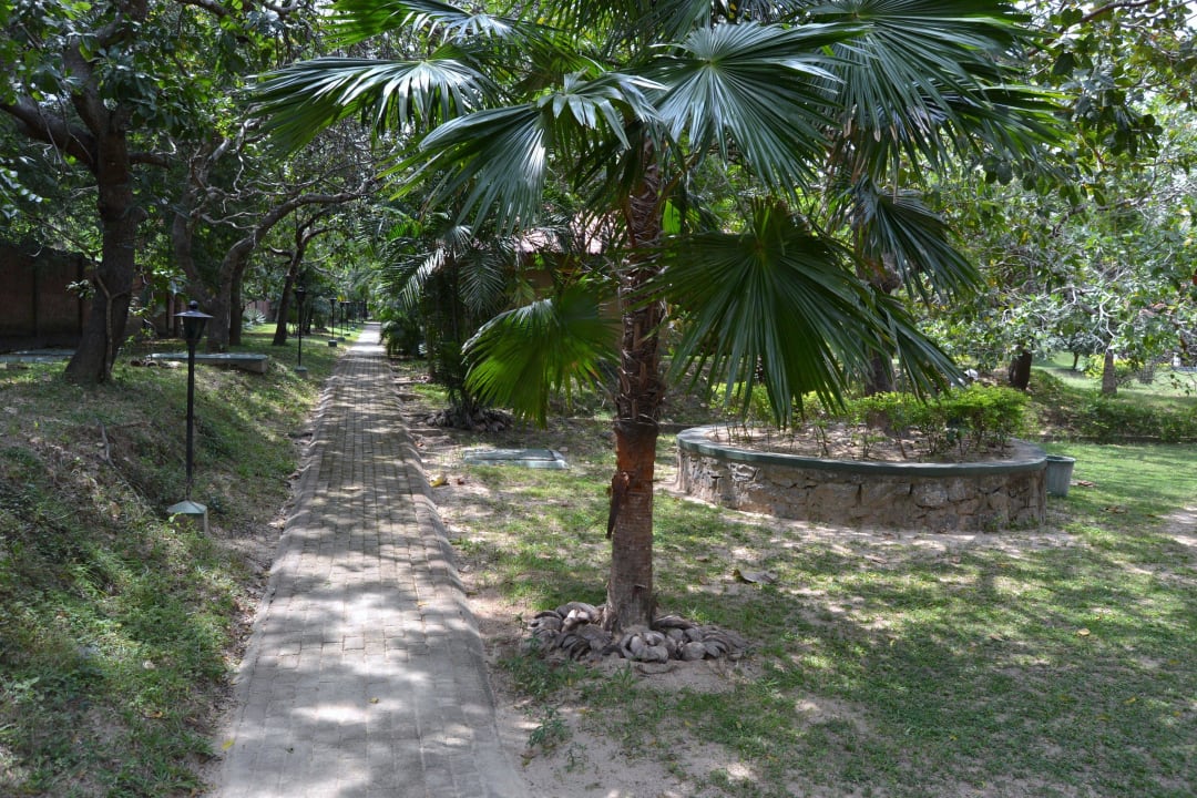 Gehweg Ayurveda Paradise Maho