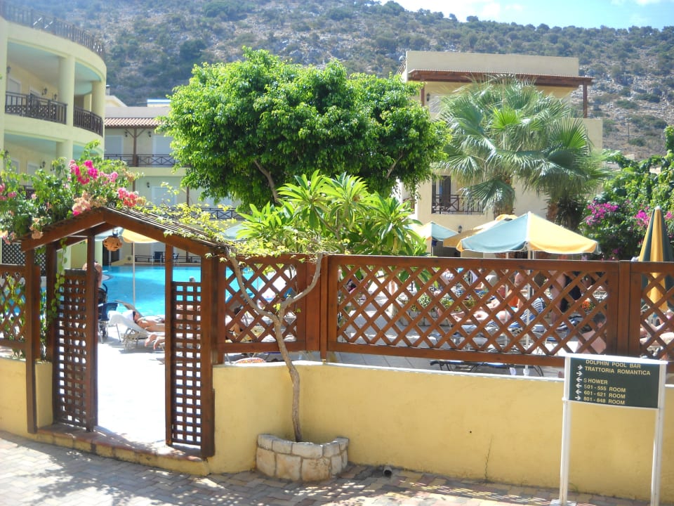 Basen Cactus Beach