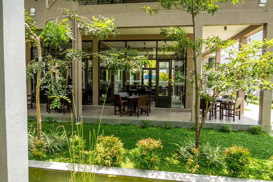 Gastro Oak Ray Wild Yala