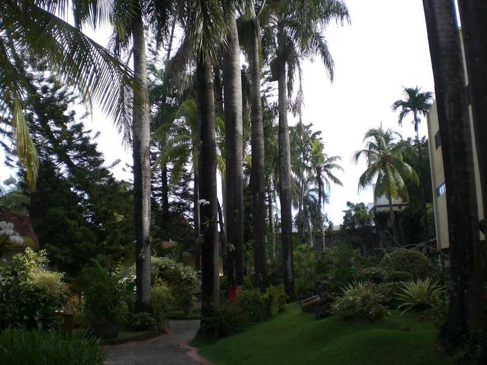 Gepflegte Gartenanlage Hotel Makassar Golden