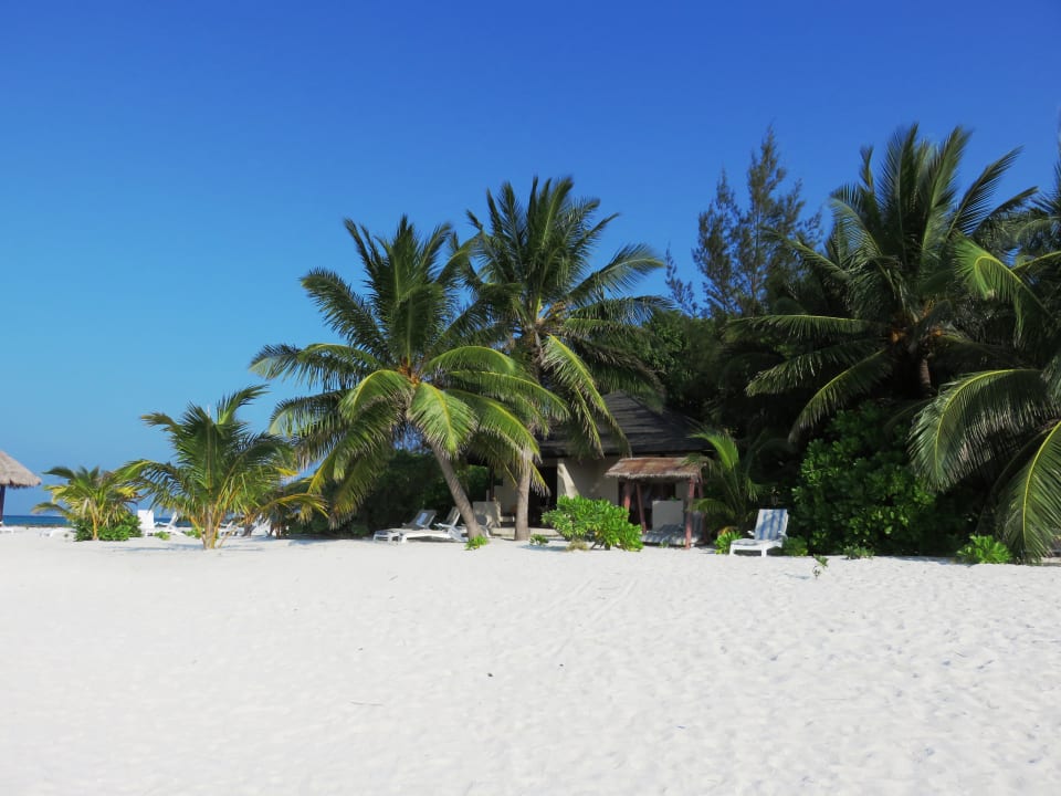 Strand Summer Island Maldives