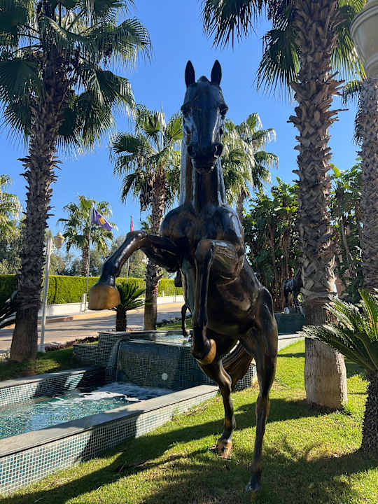 Außenansicht Delphin BE Grand