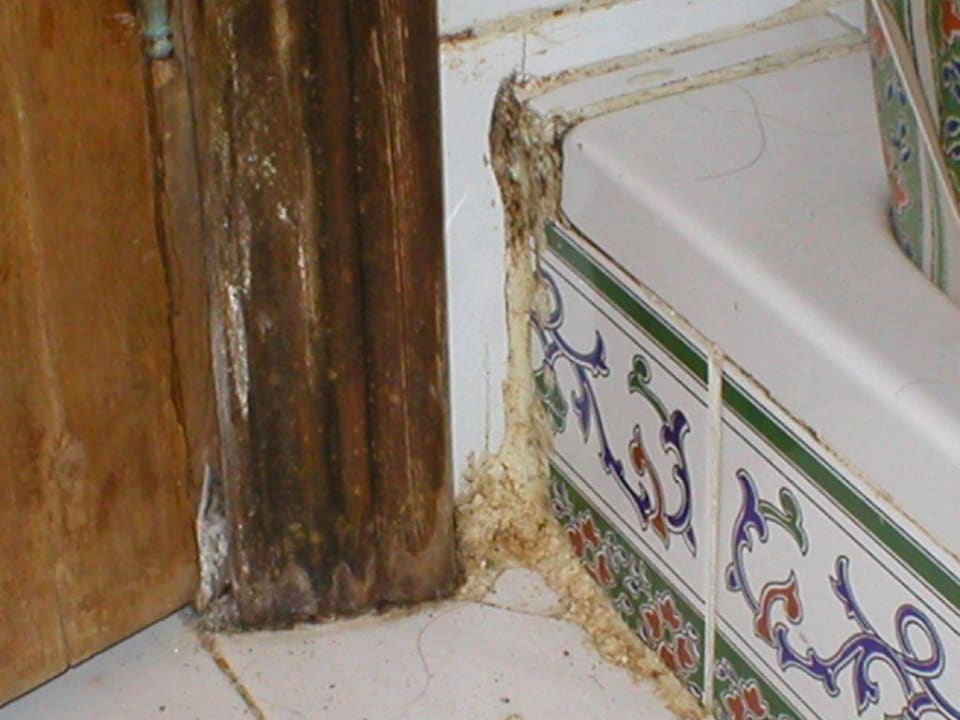 Schimmelalarm im Bad Sunny Days Palma De Mirette Resort & Spa