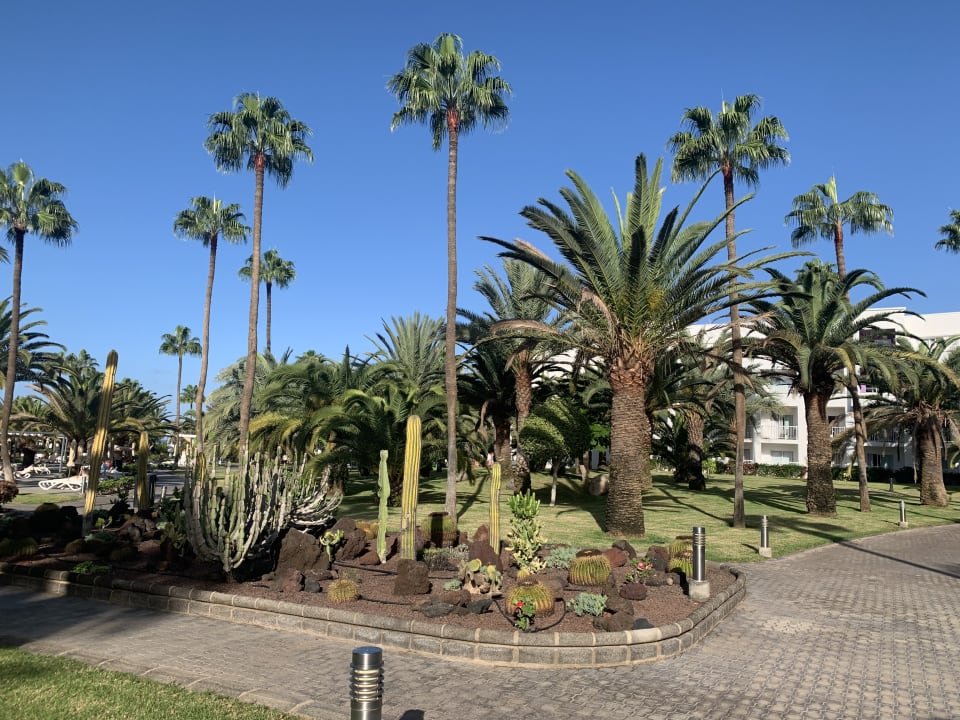 Gartenanlage Hotel Riu Gran Canaria