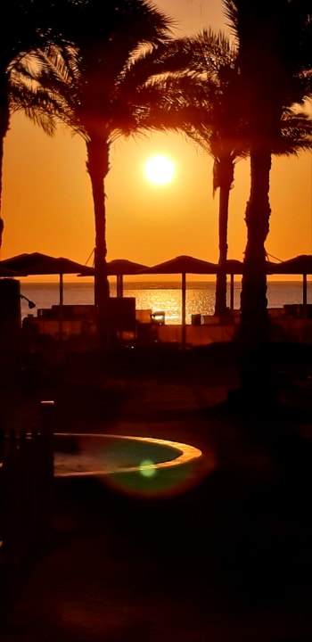 Strand Pickalbatros Royal Moderna Resort-Sharm El Sheikh