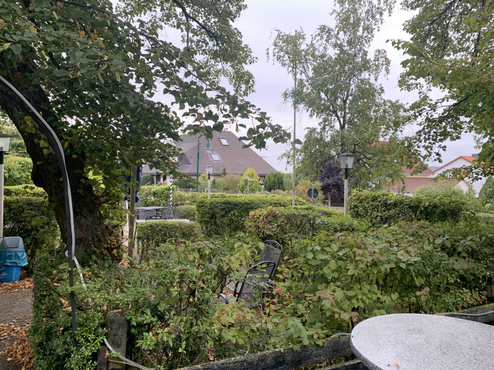 Gartenanlage Landhotel Lechstedter Obstweinschänke