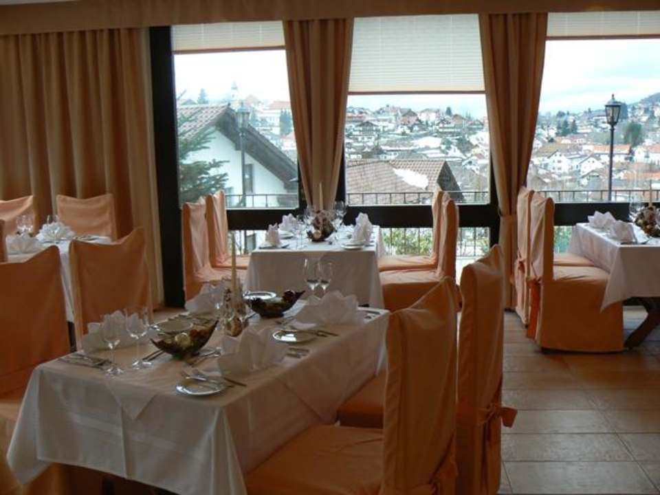 Ausblick Almhotel Pinter