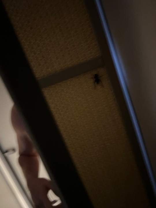 Zimmer The Royal Senses Resort, Curio Collection by Hilton